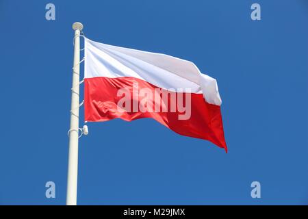 Bandiera polacca - i colori nazionali della Polonia su un pennone. Foto Stock