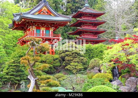 San Francisco, California, Stati Uniti - Giardino giapponese del tè in Golden Gate Park. Foto Stock