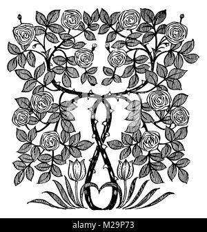 Rosebush fregio, linea ornamentali illustrazione di architetto ed artista Mackay Hugh Baillie Scott dal 1895 lo studio di una rivista illustrata di belle un Foto Stock