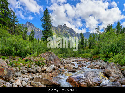 Ruscello di montagna in foreste vergini in Siberia Orientale. Sayan. La Russia Foto Stock