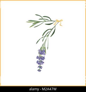 La cifra 7 monogramma. Insegna retrò alfabeto con fiori di lavanda iniziale. Stile acquarello, illustrazione botanica isolato su bianco. Vintage font vettoriali ty Illustrazione Vettoriale