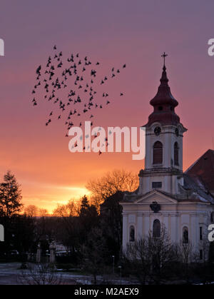 Stormo di piccioni scuoiamento intorno alla chiesa di fronte a Sunrise. Foto Stock