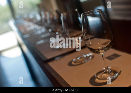 Bicchieri da Vino sono disposti in linea su un tavolo durante una sessione di degustazione di vino in un vigneto di Mendoza, Argentina Foto Stock