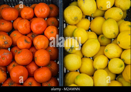 Appena raccolto di arance e di limoni in vendita in ceste, vicino. Foto Stock