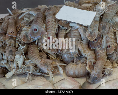 Canocchie (cicale) close-up sul banco del mercato del pesce. Il mantis arbusto è un bianco perlato-colore grigiastro, con due caratteristici viola s Foto Stock