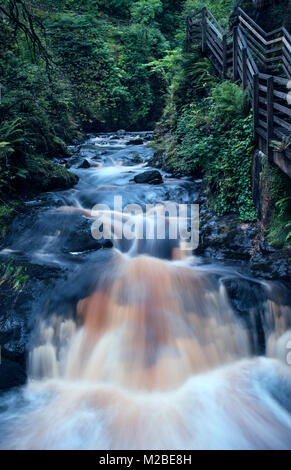 Cascata in Glenariff Forest Park, County Antrim, Irlanda del Nord Foto Stock