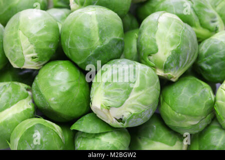 Freschi cavoli di Bruxelles Foto Stock