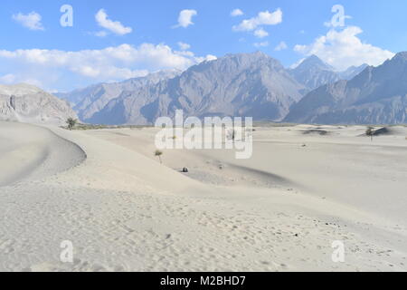 Mondo più alto deserto a freddo Foto Stock