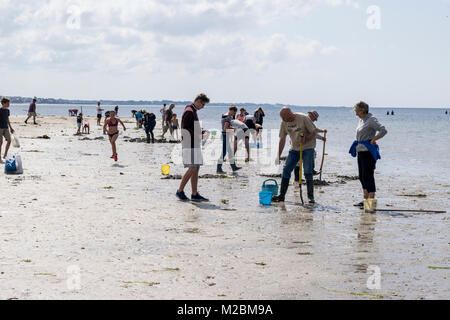 Strand Kerleven in La Forêt-Fouesnant in der Bretagne. Bei Niedrigwasser, ebbe, gehen die Menschen ins Watt und sammeln Muscheln. Foto Stock
