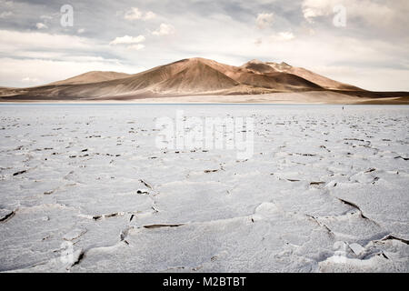 Crosta di sale in riva della laguna e salt lake Tuyajto, Altiplano (alto altopiano andino), los Flamencos riserva nazionale, il deserto di Atacama, Antofagasta Foto Stock