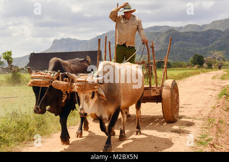 Agricoltore Pinar del Rio, Cuba Foto Stock