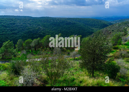 Paesaggio di Yehiam flusso nella western Galilea superiore, nel nord di Israele Foto Stock