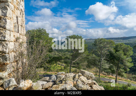 Resti della fortezza di Yehiam, da il crociato e periodo ottomano e il paesaggio di Yehiam Stream, nel western Galilea superiore, nel nord di Israele Foto Stock