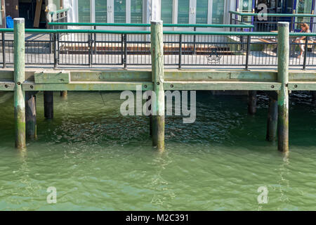 New York, NY, STATI UNITI D'AMERICA - Giugno 06, 2015: il molo A Harbor House con ristorante situato sul fiume Hudson a Battery Park, la parte inferiore di Manhattan. Skyscrape moderno Foto Stock