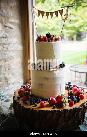 Frutta fresca di tiered celebrazione torta, close-up Foto Stock
