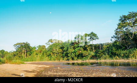 Essiccato alveo del fiume Napo nella sezione ecuadoriana della foresta pluviale amazzonica Foto Stock