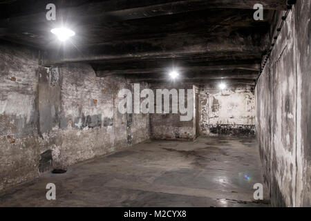 Auschwitz, Piccola Polonia / Polonia - Feb 04 2018: Auschwitz Birkenau, campo di lavoro e sterminio nazista. Foto Stock