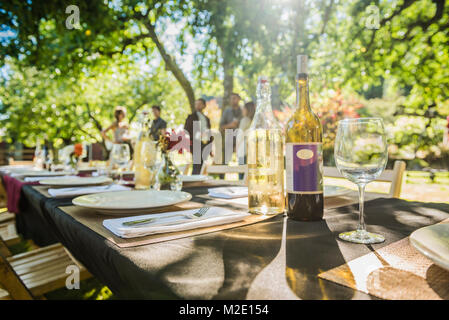 Le bottiglie di vino sul tavolo al party all'aperto Foto Stock