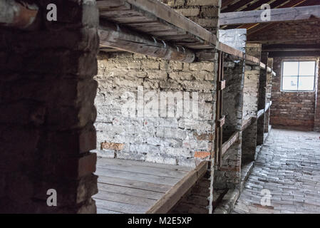 In legno di cellule a pelo, Birkenau Campo di Concentramento, Polonia Foto Stock