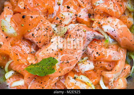 Metalic ciotola con il salmone condito essendo messa per marination Foto Stock