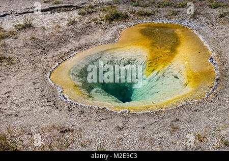 Delicato Piscina belga e primavera calda nella Upper Geyser Basin. Parco Nazionale di Yellowstone, Wyoming USA Foto Stock