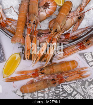 Langoustine cotti con il limone in un vassoio Foto Stock