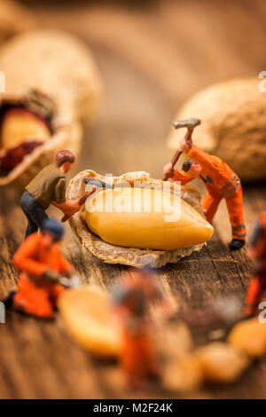 Le figure in miniatura lavorando sulle partite di arachidi fotografia macro sulla tavola di legno Foto Stock