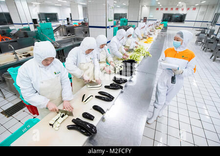 (180207) -- PECHINO, Febbraio 7, 2018 (Xinhua) -- lavoratori trattare con le verdure per impostare i pasti sui treni ad alta velocità a una produzione alimentare di base in Pechino, capitale della Cina, Febbraio 7, 2018. Complessivamente 18 tipi di pasti a 6 livelli di prezzo sono disponibili su della Cina di treni ad alta velocità durante il Festival di Primavera di viaggio rush che è dal 1 febbraio al 12 marzo. (Xinhua/Shen Bohan) (mp) Foto Stock