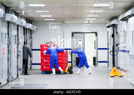 (180207) -- PECHINO, Febbraio 7, 2018 (Xinhua) -- Trasferimento dei lavoratori impostare i pasti dei treni ad alta velocità a una produzione alimentare di base in Pechino, capitale della Cina, Febbraio 2, 2018. Complessivamente 18 tipi di pasti a 6 livelli di prezzo sono disponibili su della Cina di treni ad alta velocità durante il Festival di Primavera di viaggio rush che è dal 1 febbraio al 12 marzo. (Xinhua/Shen Bohan) (mp) Foto Stock