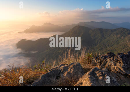 Nebbia di mattina vista a Phu Chi fa la mattina, Chiang Rai, Thailandia Foto Stock