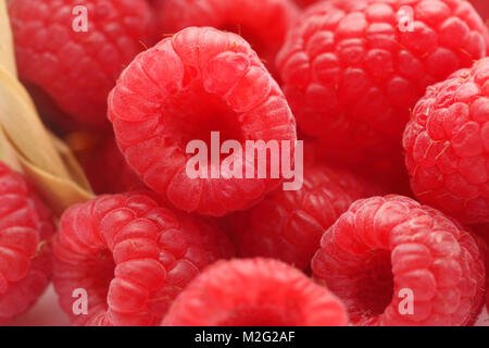 Primo piano di alcuni lamponi freschi Foto Stock