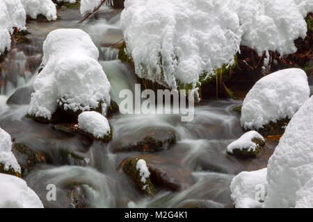 Lunga esposizione della Kleine Ohe, un piccolo ruscello che scorre attraverso i boschi innevati nel Parco Nazionale della Foresta Bavarese in Baviera, Germania. Foto Stock