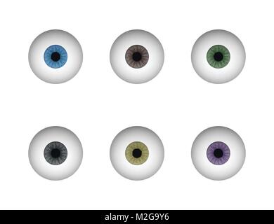 Un set di bulbi oculari. Occhio umano. Illustrazione Vettoriale