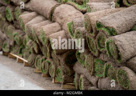 Rotoli di zolle d'erba in un palo pronto per essere utilizzato. Foto Stock