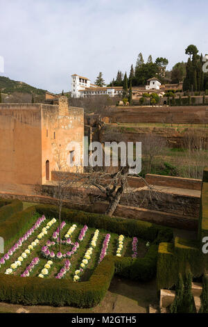 Cavoli ornamentali crescente all'interno delle pareti dell'Alhambra, con vew attraverso il Barranco de la Aikibía al Generalife Granada Foto Stock