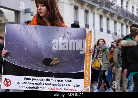 L214 attivisti vegan protesta contro il foie gras e forzare l'alimentazione delle oche, Lione, Francia Foto Stock