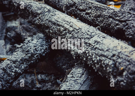 Tizzi carbonizzati, coperto di brina giacciono sulla neve Foto Stock