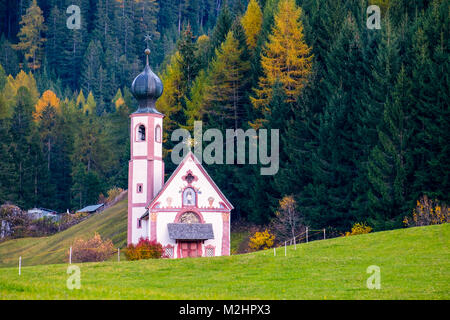 Bella foresta di autunno con la chiesa barocca di San Johann in Val di Funes, Dolomiti, Italia Foto Stock