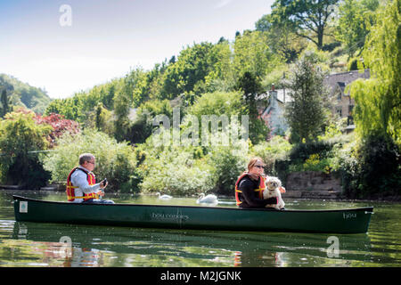 Canoisti sul fiume Wye vicino a Symonds Yat in Herefordshire UK Foto Stock