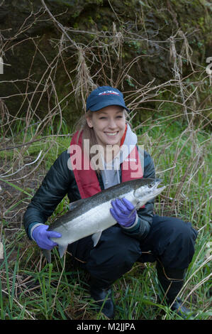 Trota Steelhead pescatori con un incubatoio allevati Siletz river steelhead catturati su un galleggiante guidato viaggio. Il modello release, solo uso editoriale. Foto Stock