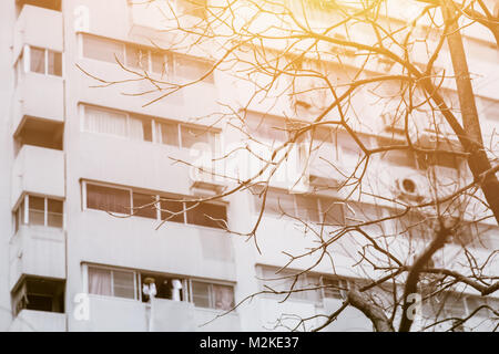 Surriscaldare caldo die albero in inquinamento urbano Foto Stock