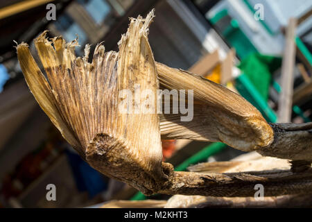 Cibo Saltfish still-life fotografia Foto Stock