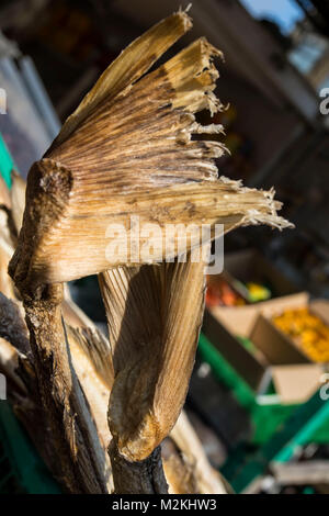 Cibo Saltfish still-life fotografia Foto Stock