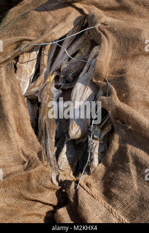 Cibo Saltfish still-life fotografia Foto Stock