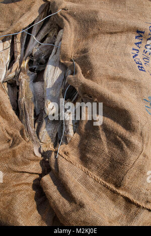 Cibo Saltfish still-life fotografia Foto Stock