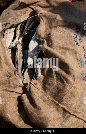 Cibo Saltfish still-life fotografia Foto Stock