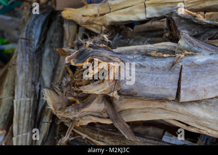 Cibo Saltfish still-life fotografia Foto Stock