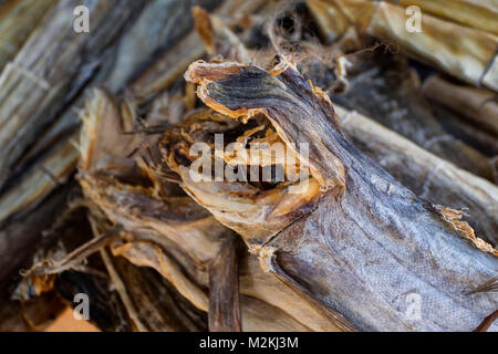 Cibo Saltfish still-life fotografia Foto Stock