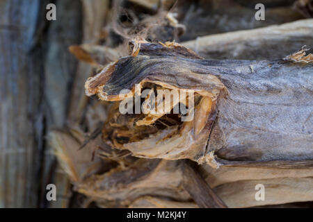 Cibo Saltfish still-life fotografia Foto Stock