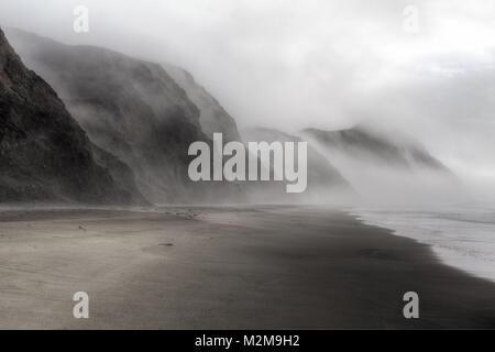 Bellissima spiaggia di nebbia al punto Reyes, California Foto Stock